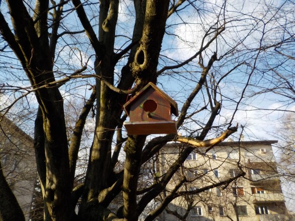 Hišice za ptičke