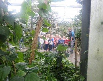 Obisk botanicnega vrta 8