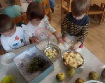 Img 20240925 095458