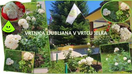 Vrtnica Ljubljana v Vrtcu Jelka