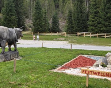 Prihod na pokljuko1