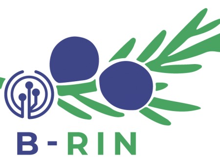 B-RIN