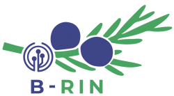 B-RIN
